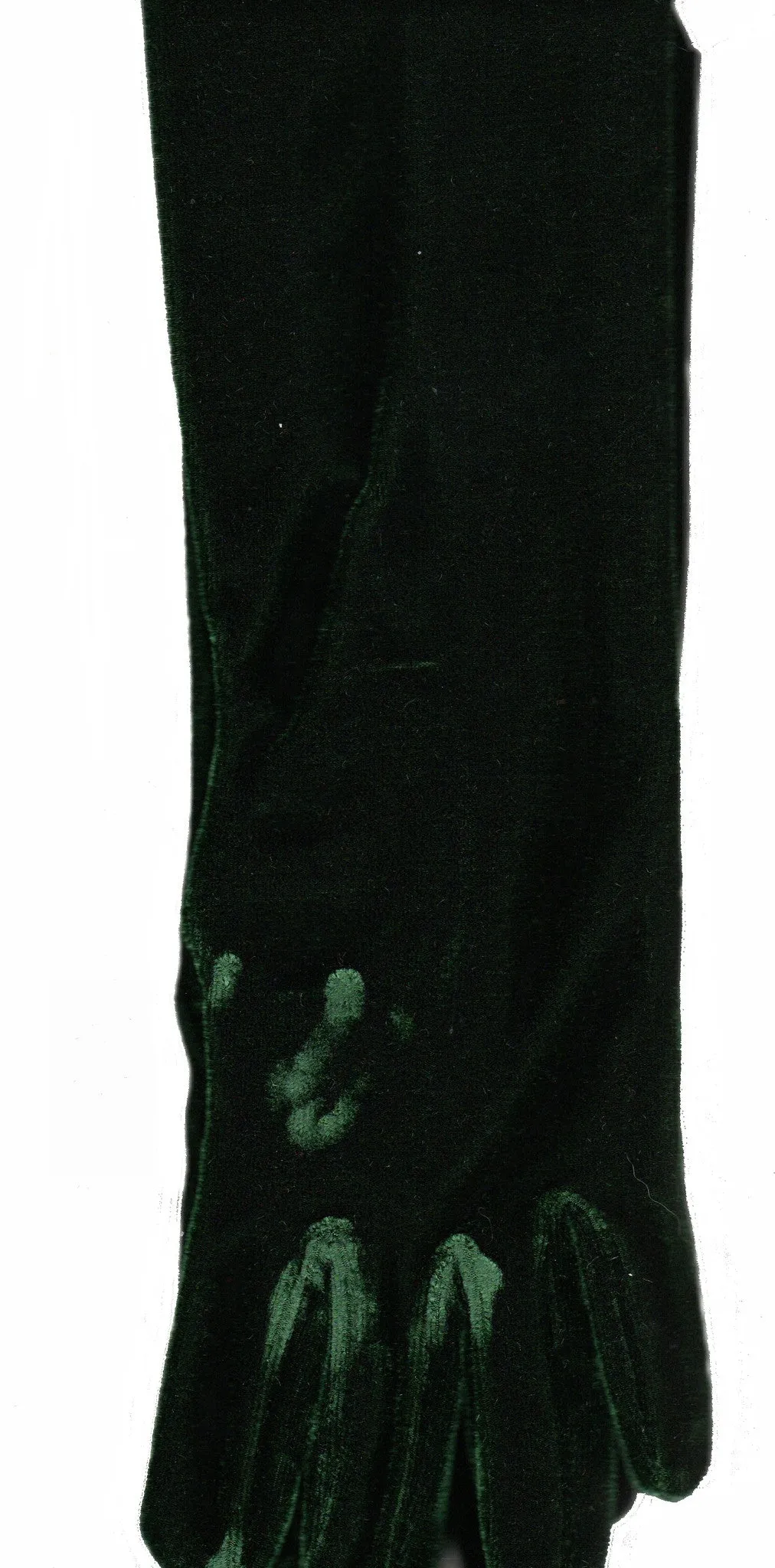 Lauer Stretch Velvet 12 Button Length Glove