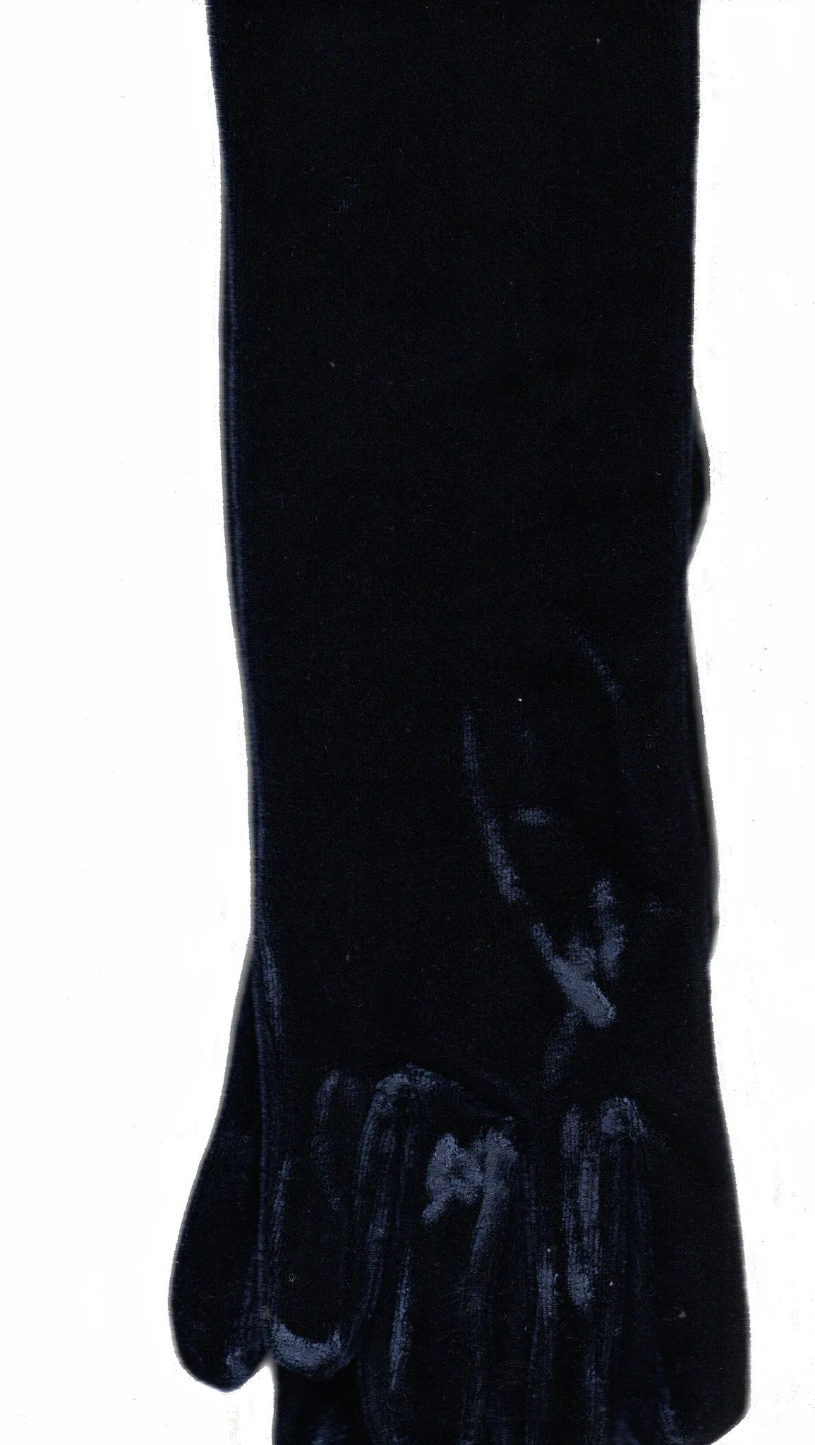 Lauer Stretch Velvet 12 Button Length Glove