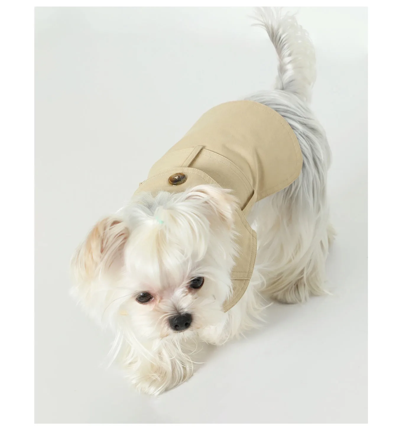 Summer Pet Clothes Dog British Trench Coat