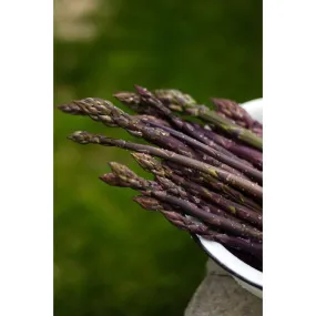 Sweet Purple Asparagus